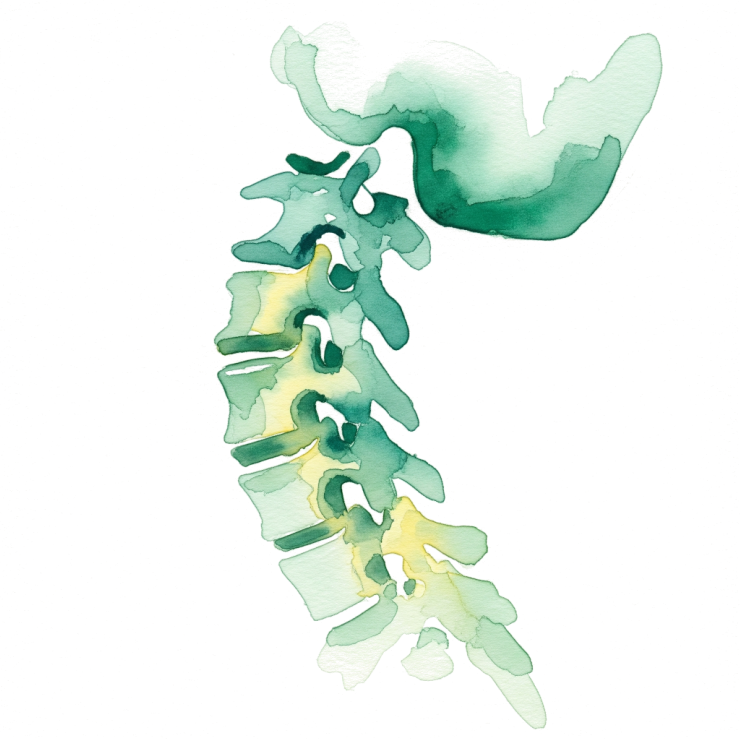 Icono Profesionalismo